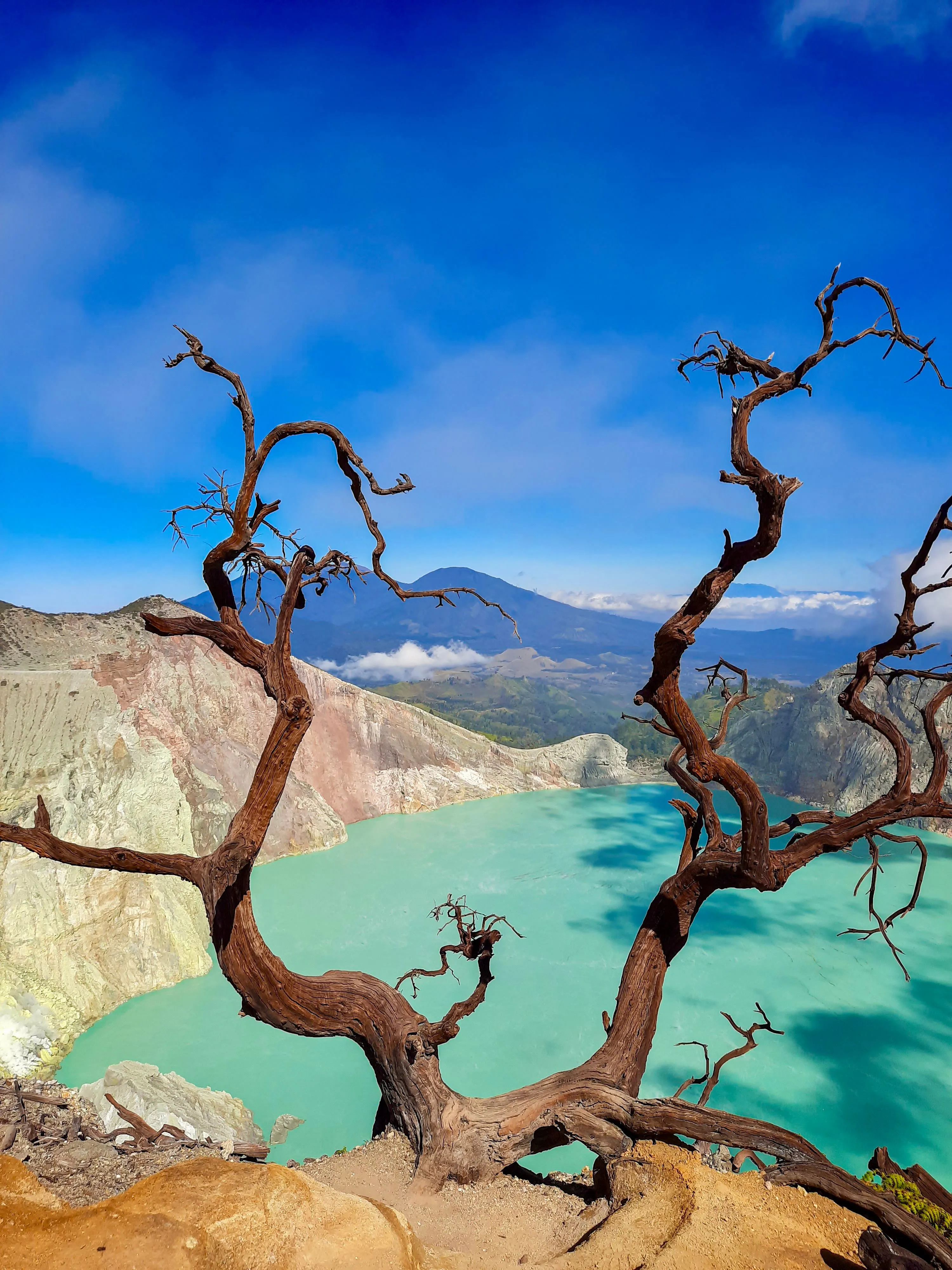 Banyuwangi